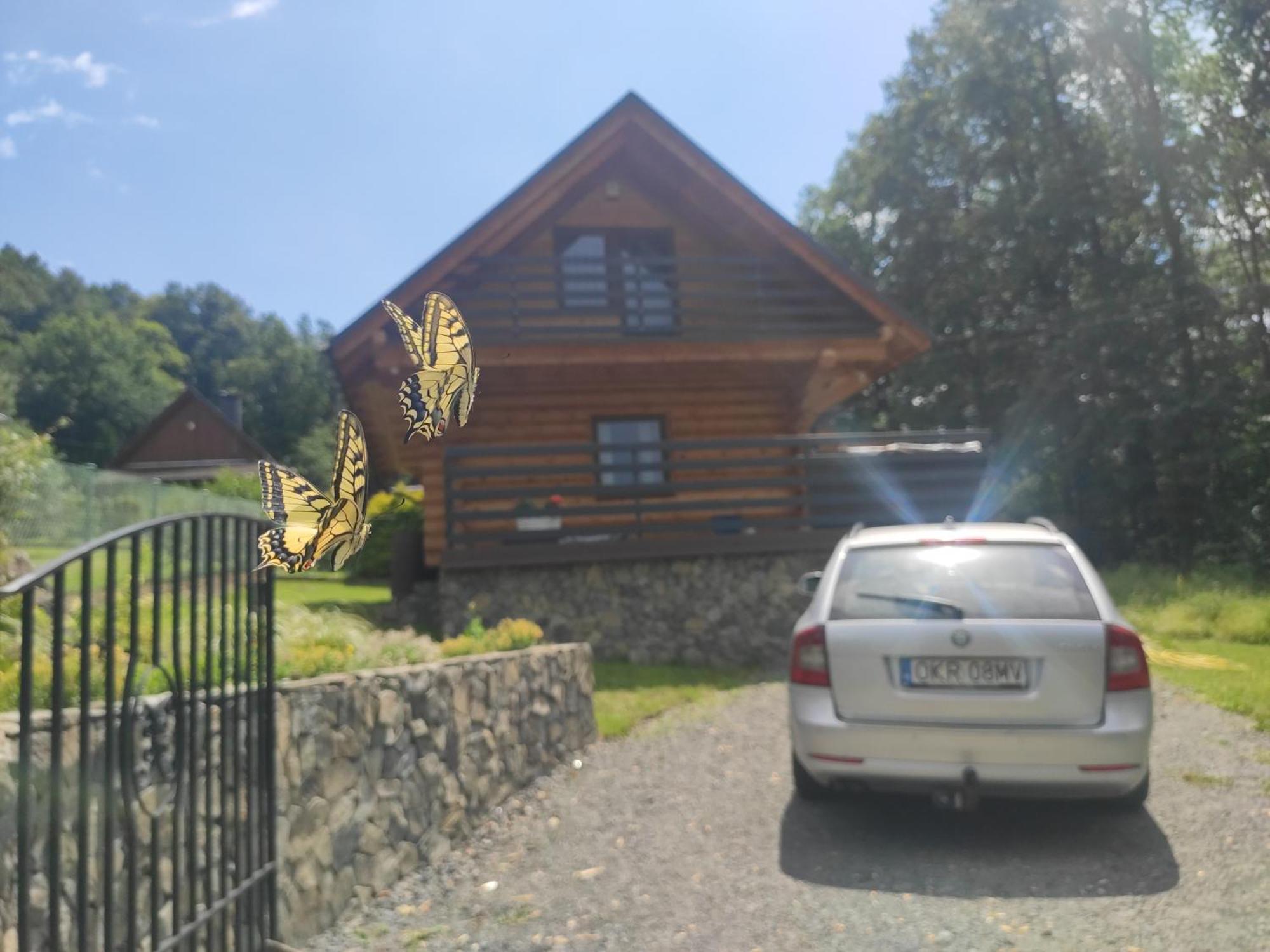 Kwietna Laka Na Szlaku Chalet