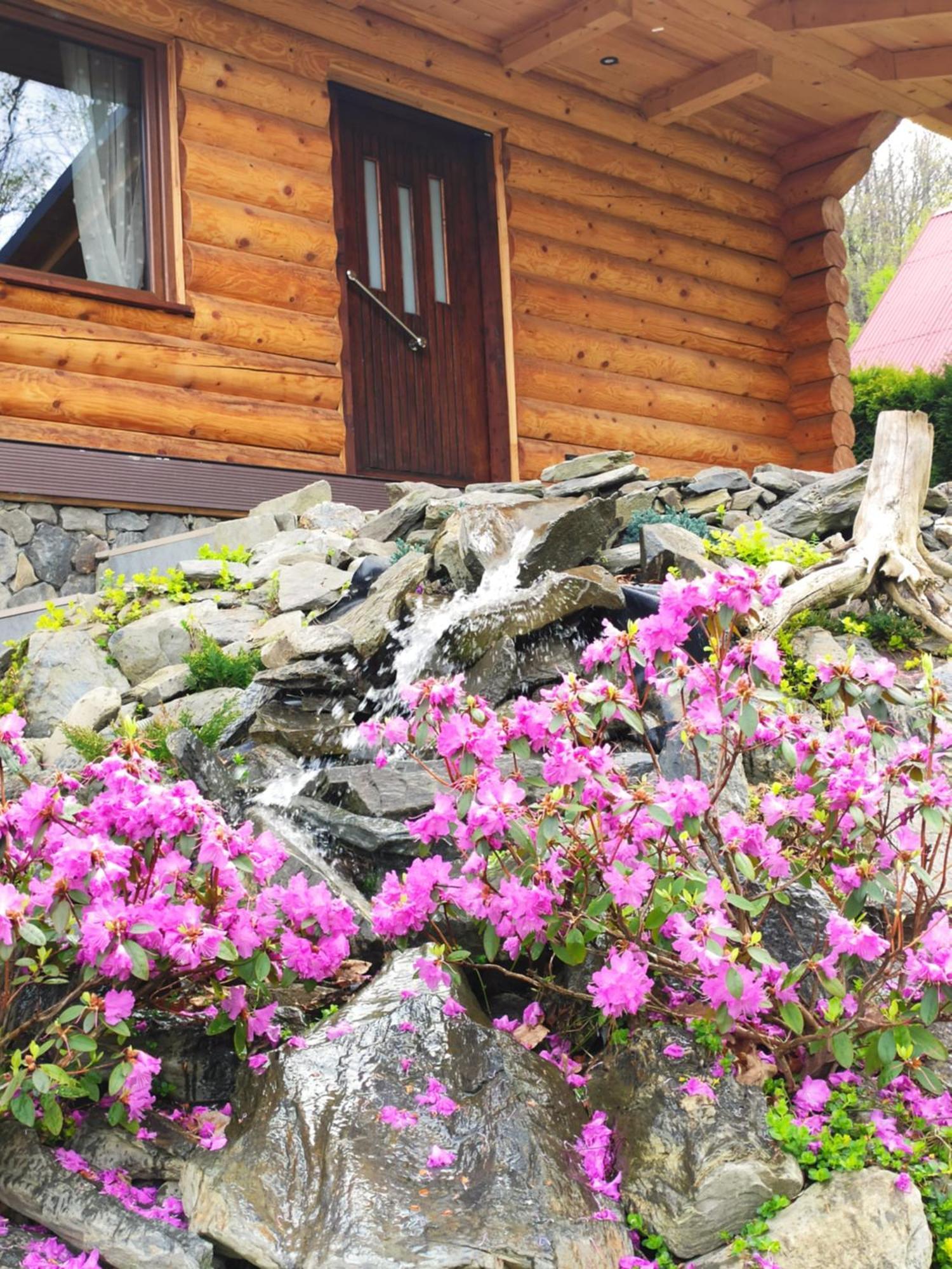 Kwietna Laka Na Szlaku Chalet *